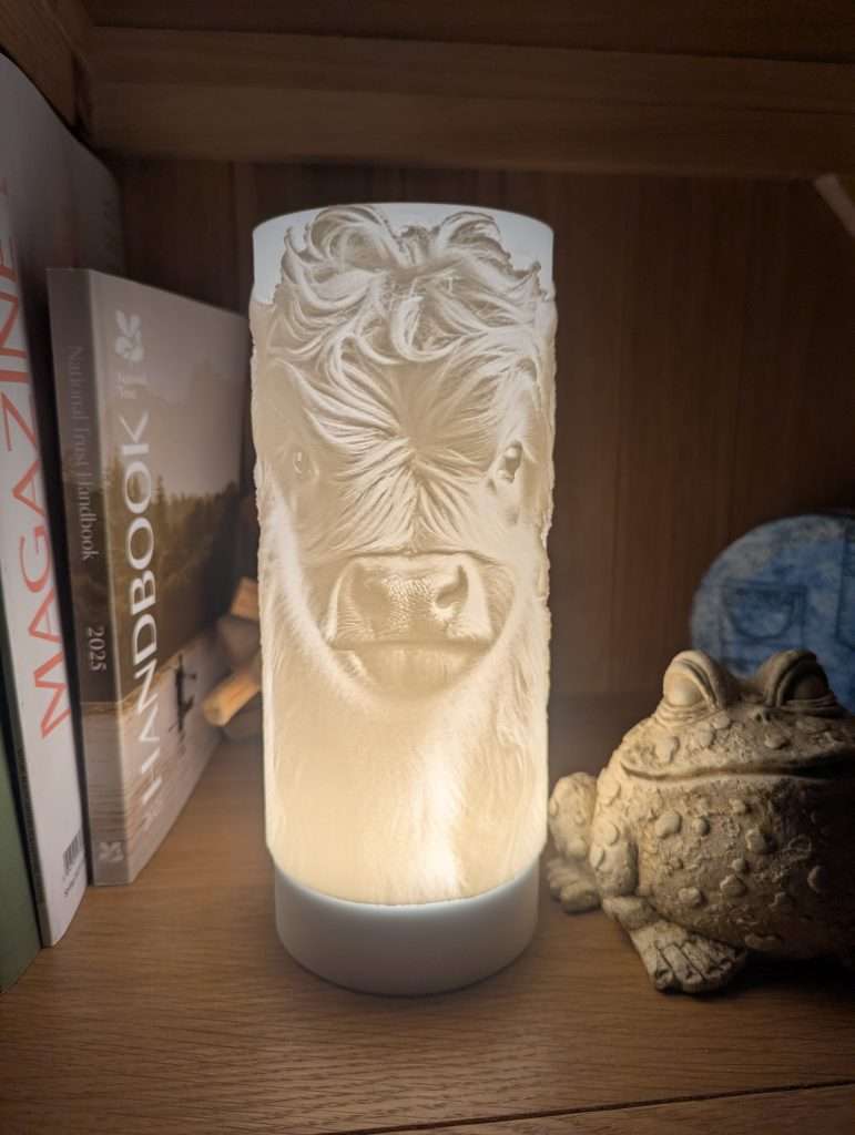 Baby Highland Cow Light