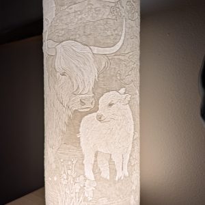 mother and baby highland cow