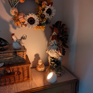 spherical rechargeable light