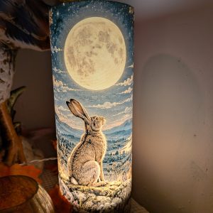 Moon Gazing Hare Night Light